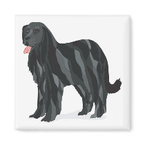 Newfoundland magnets