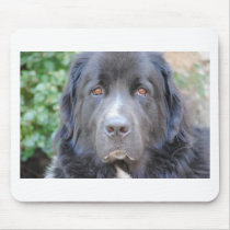 Newfoundland Mousepad