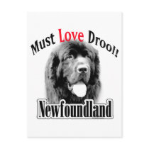 Newfoundland Must Love Drool Postcard