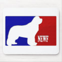 Newfoundland NBA 2010 mousepads