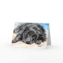 Newfoundland "Patience" cards by foxbrush Newfoundland "Patience" cards