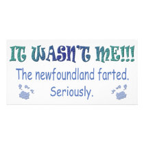 Newfoundland Picture Card
