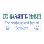Newfoundland Picture Card