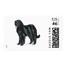 Newfoundland postage