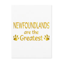 Newfoundland postcards