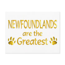 Newfoundland postcards