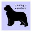 Newfoundland poster with customizable name print