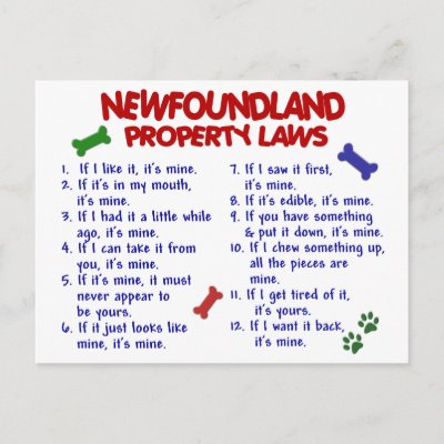 NEWFOUNDLAND Property Laws 2 Postcards
