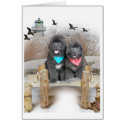 Newfoundland Puppies on beach cards card
