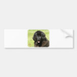Newfoundland Puppy9T086D-104 Bumper Sticker