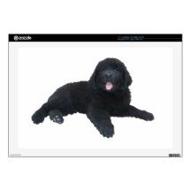 Newfoundland Puppy 17" Laptop Skins