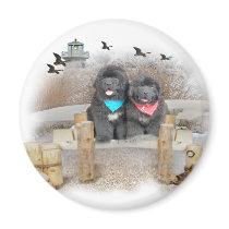 Newfoundland seashore magnets