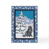 Newfoundland Snowy Winter cards by freespiritdesigns Newfoundland Snowy Winter cards