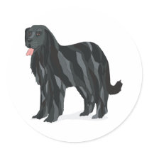 Newfoundland stickers