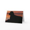 Newfoundland Sunset Sympathy Card