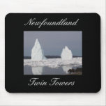 Newfoundland Twin Towers