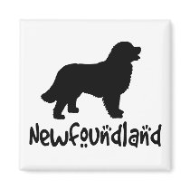 Newfoundland With Cool Text magnets
