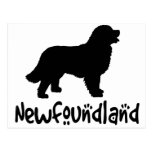 Newfoundland With Cool Text Postcard