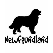 Newfoundland With Cool Text t-shirts