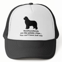 Newfoundlands are like potato chips hats