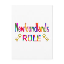 Newfoundlands Rule postcards