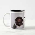Newfs rule mugs