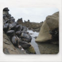 Newport Beach at low tide mousepads