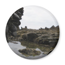 Newport Beach magnets