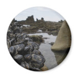 Newport Beach Muscles at Low Tide magnets