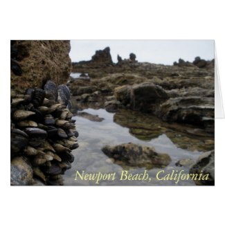 Newport Beach Muscles card