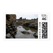 Newport Beach Muscles Stamp