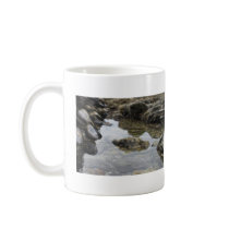 Newport Beach Rocks and Muscles mugs by niffx Newport Beach Rocks and Muscles mugs