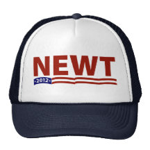 Newt 2012 hat