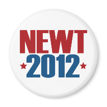 NEWT 2012 magnets