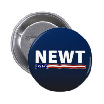 Newt 2012 pin