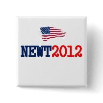 Newt 2012 RW&B Pin