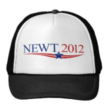 Newt 2012 Swag Hats