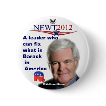 Newt Gingrich.....fixing what is Barack Pins