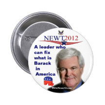 Newt Gingrich.....fixing what is Barack Pins