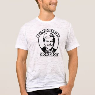 Newt Gingrich is my homeboy shirt