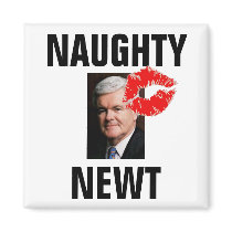 Newt Gingrich - Naughty magnets