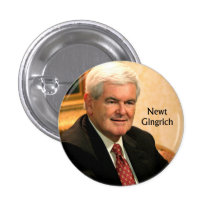 Newt Gingrich Pins