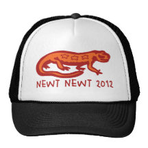 Newt Newt 2012 Trucker Hat