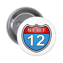 Newt Road to the White House 2012 Pin