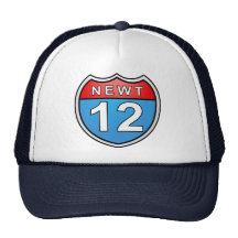 Newt Road to the White House 2012 Trucker Hat