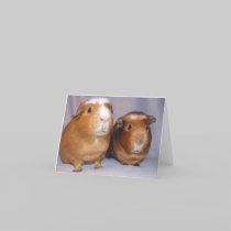Newton and Skeeter Notecard cards