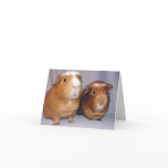 Newton and Skeeter Notecard