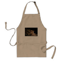 Newton William Blake Masonic Painting Aprons