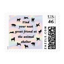 Next Great Friend stamps