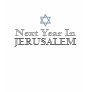 Next Year In Jerusalem T-shirt